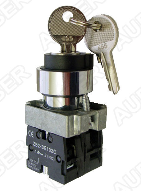 Key Selector Switch, 2-Position Maintained, 22mm